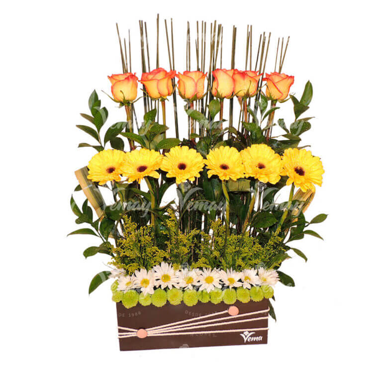 CL 26 Vemayflores cl-26-vemayflores